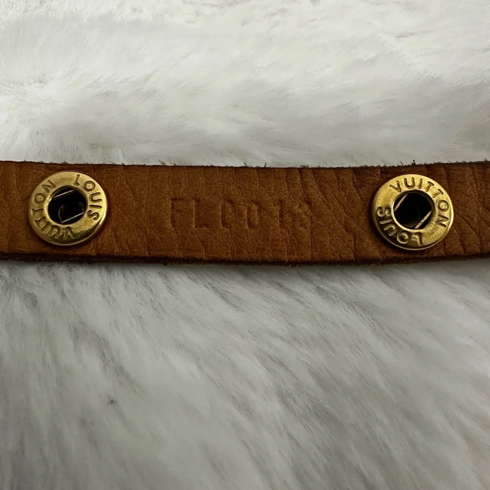 Louis Vuitton Florentine Belt Bag (Pochette Florentine) - Picture 12 of 16